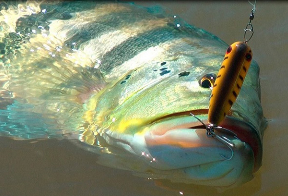 Pesca Esportiva - Pousada da Dona Mocinha