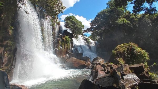 Logomarca de FAZENDA BOA ESPERANÇA