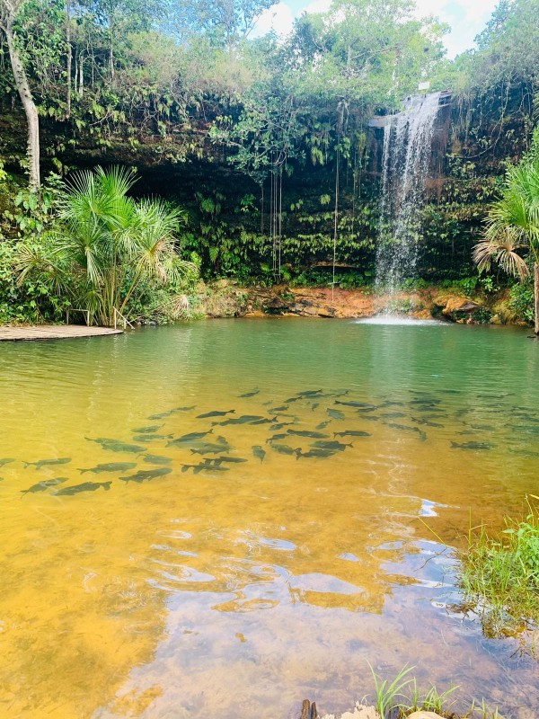 CACHOEIRA DO DIETER