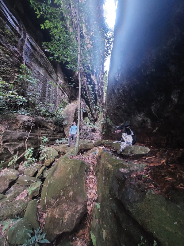 TRILHA MIRANTE