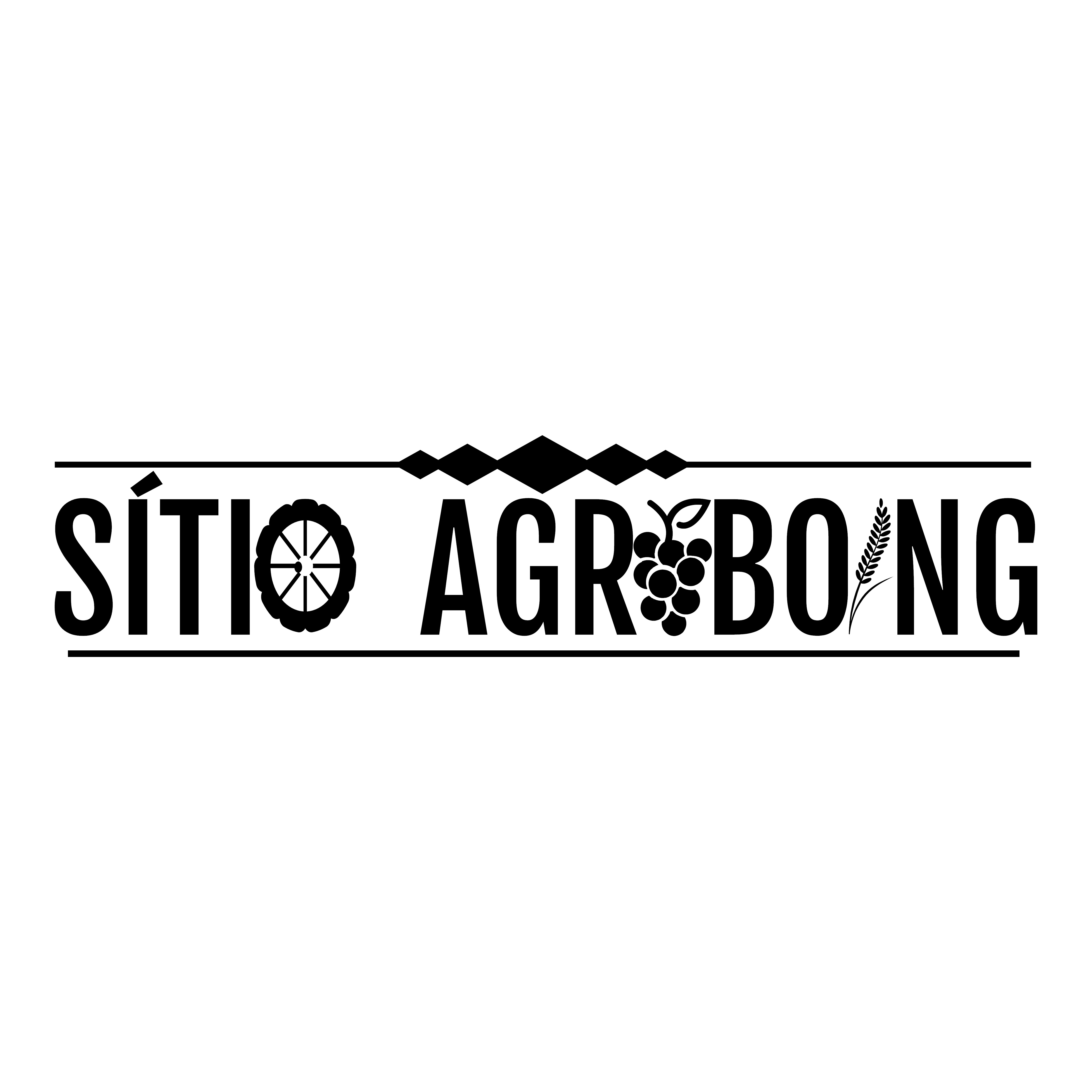 Jairo Boing (Sítio Agroboing)