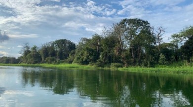 CUNIÃ - Avistamento de avifauna no igarapé do campo