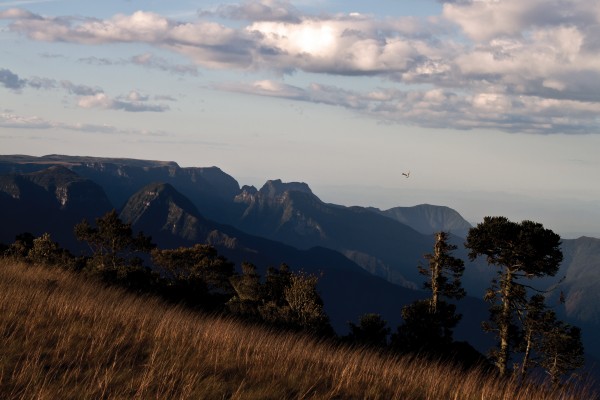 Trilha dos Tropeiros Trecho na Reserva do Aguaí
