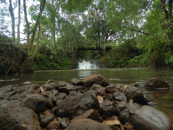 Trilha da Cascata - Parque Estadual das Araucárias