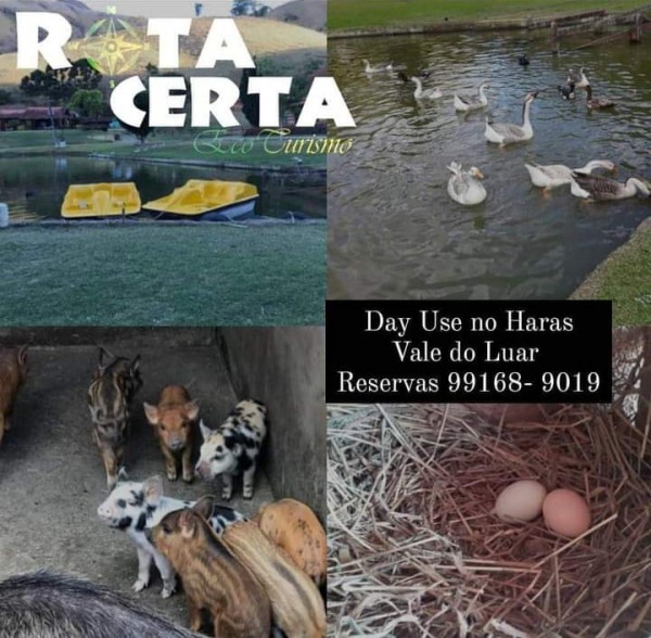 Day Use no Haras Vale do Luar