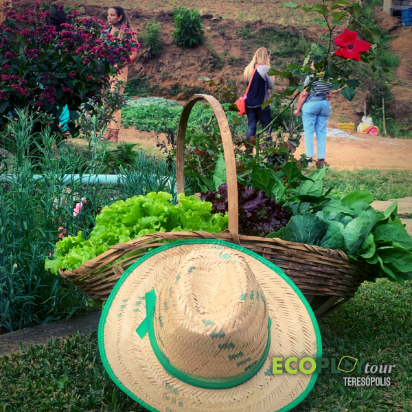 Experiência Rural Teresópolis
