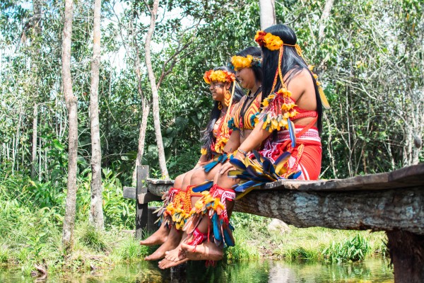 Vozes da Floresta: Contos Haliti-Paresí