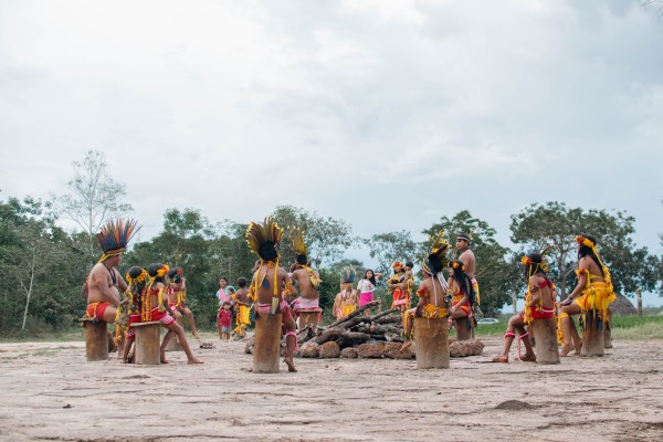 Vozes da Floresta: Contos Haliti-Paresí