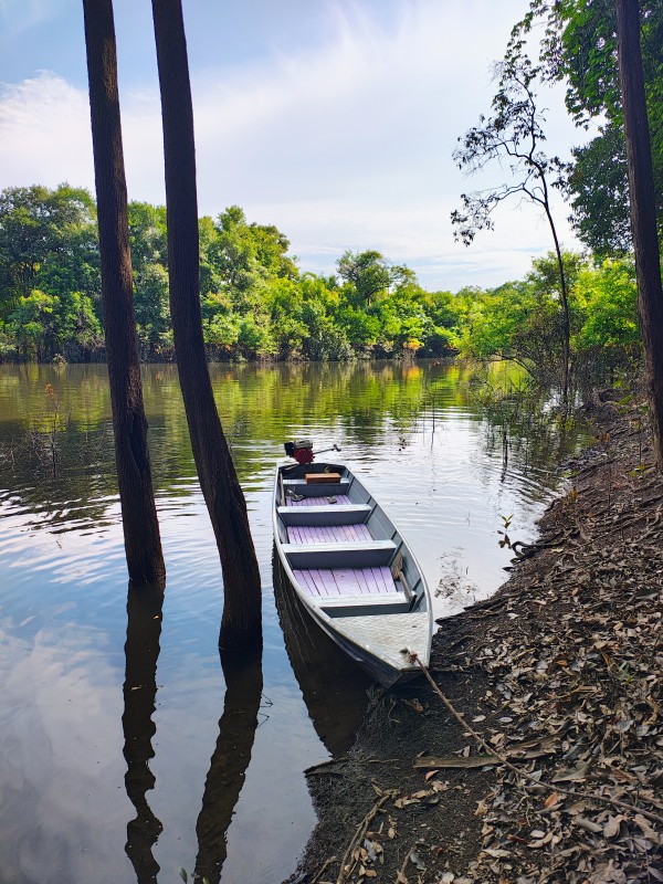 PASSEIO DE CANOA COM REMO NO LAGO DO CUNIÃ
