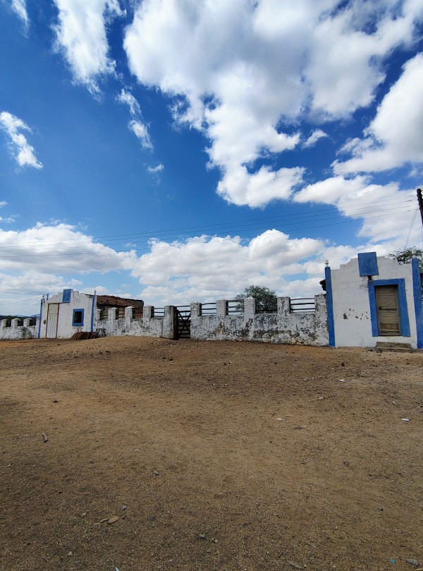 Sabores e Tradições da Fazenda Boa Vista